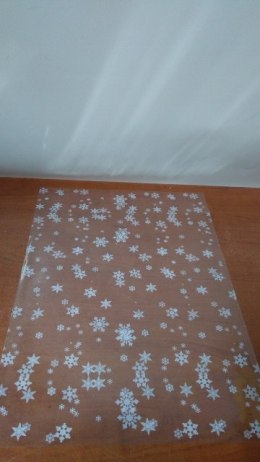 Worek foliowy przeźroczysty ŚNIEG 25x40cm 50szt